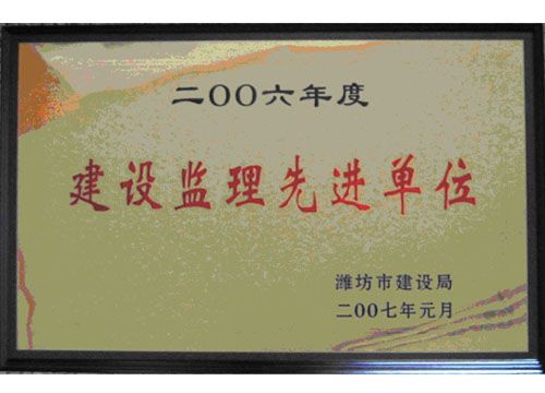 点击查看详细信息<br>标题：2006年度建设监理先进单位 阅读次数：4636