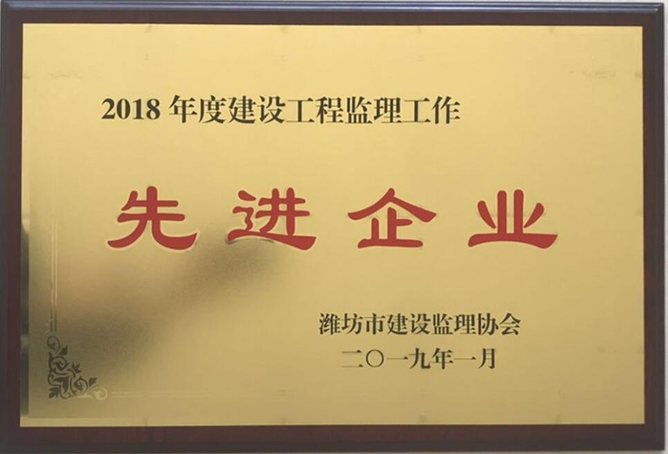 点击查看详细信息<br>标题：2018年度先进监理企业 阅读次数：2522